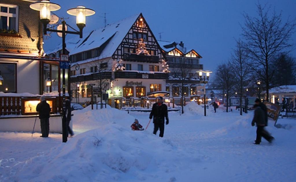 Welcome In - Apartments Am Waltenberg 57-59 Winterberg Extérieur photo